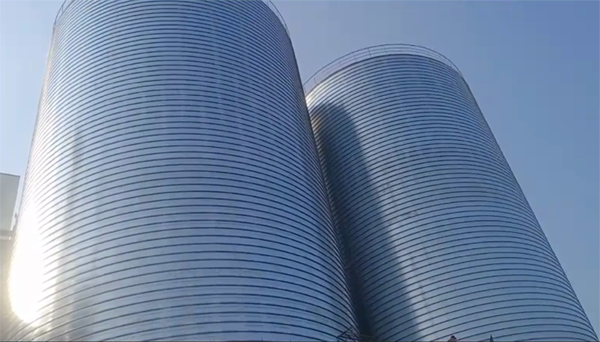 郏县2座混凝土高架卷板仓